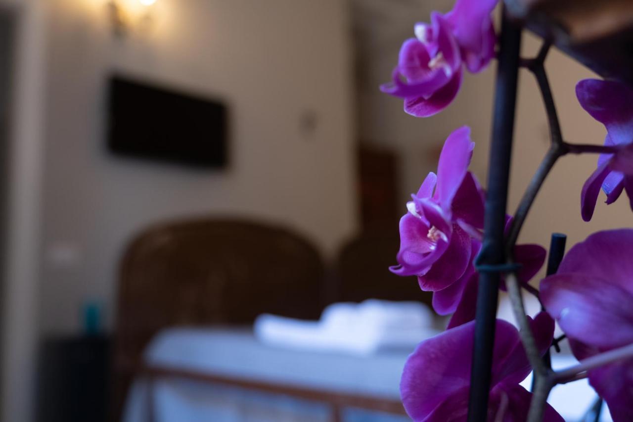 Citta Di Castello Rooms Ngoại thất bức ảnh